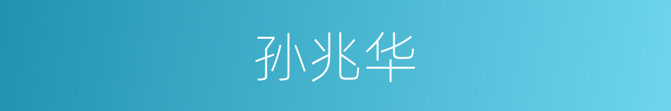 孙兆华的同义词