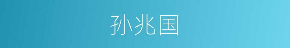 孙兆国的同义词