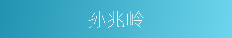 孙兆岭的同义词