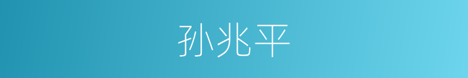 孙兆平的同义词