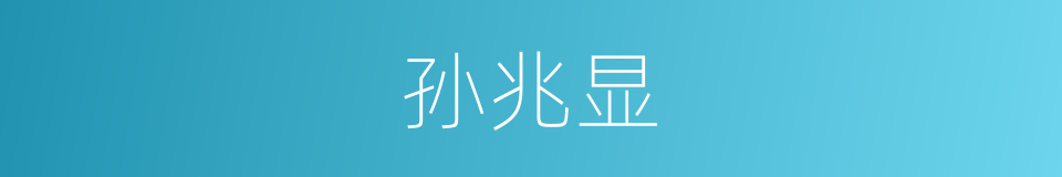 孙兆显的同义词