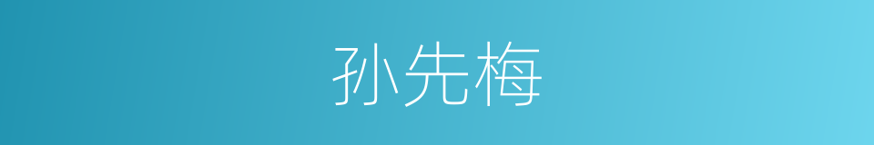 孙先梅的同义词