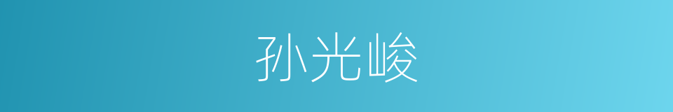 孙光峻的同义词