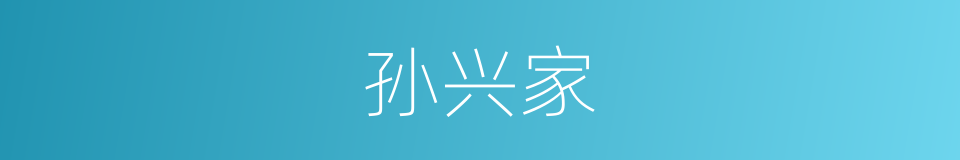 孙兴家的同义词