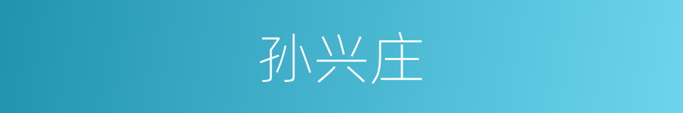 孙兴庄的同义词