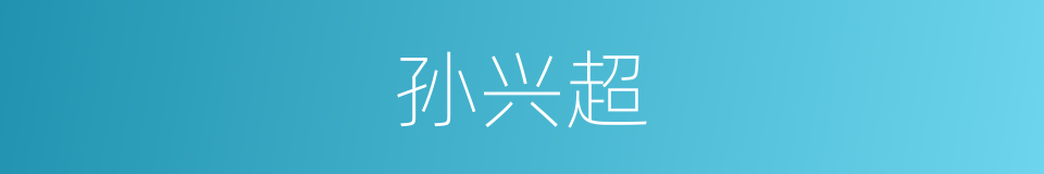 孙兴超的同义词