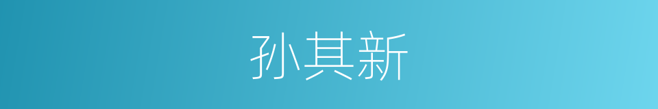 孙其新的同义词