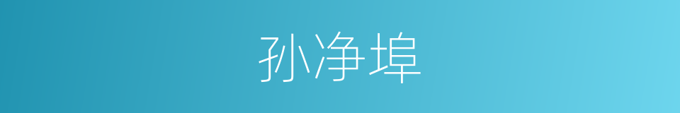 孙净埠的同义词