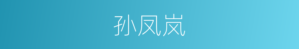 孙凤岚的同义词