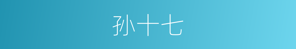 孙十七的同义词