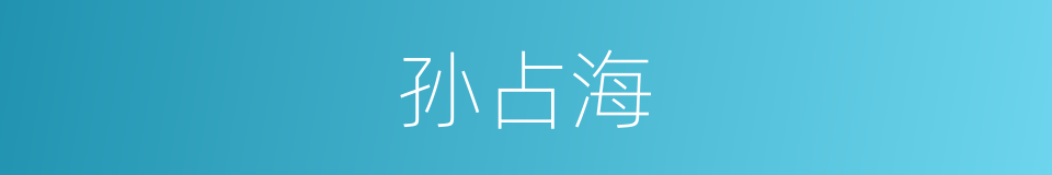 孙占海的同义词