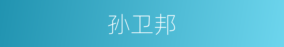 孙卫邦的同义词