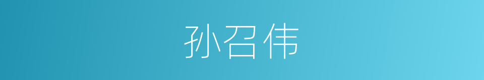 孙召伟的同义词