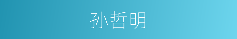 孙哲明的同义词