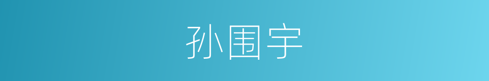 孙围宇的同义词