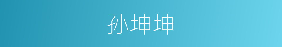 孙坤坤的同义词