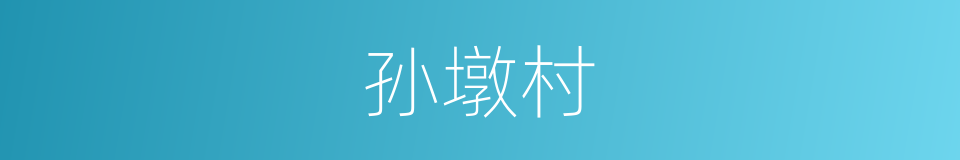 孙墩村的同义词