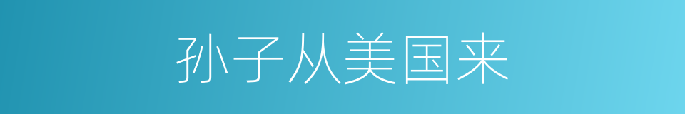 孙子从美国来的同义词