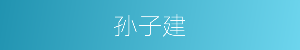 孙子建的同义词