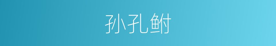 孙孔鲋的同义词