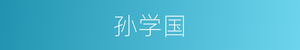 孙学国的同义词