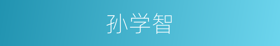 孙学智的同义词