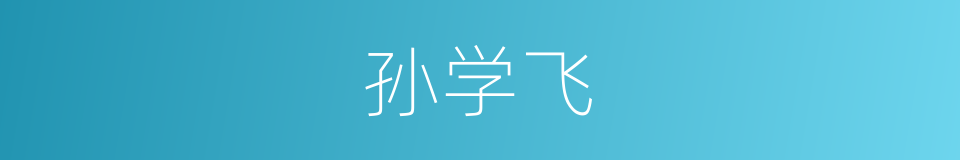 孙学飞的同义词