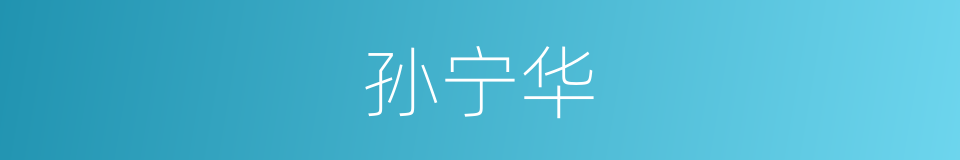孙宁华的同义词