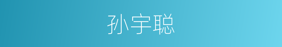 孙宇聪的同义词