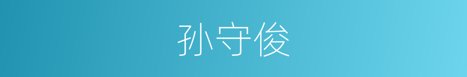 孙守俊的同义词