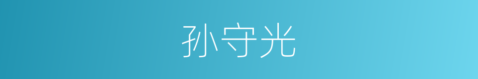 孙守光的同义词