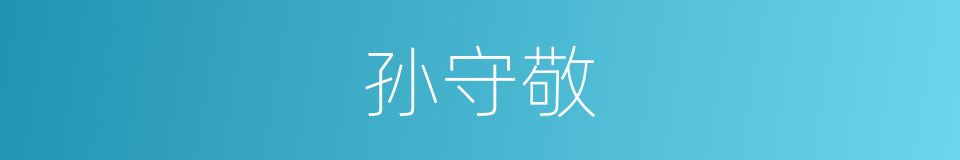孙守敬的同义词
