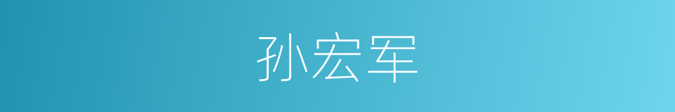 孙宏军的同义词