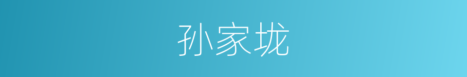 孙家垅的同义词