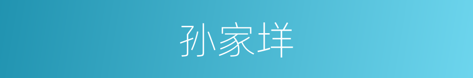 孙家垟的同义词