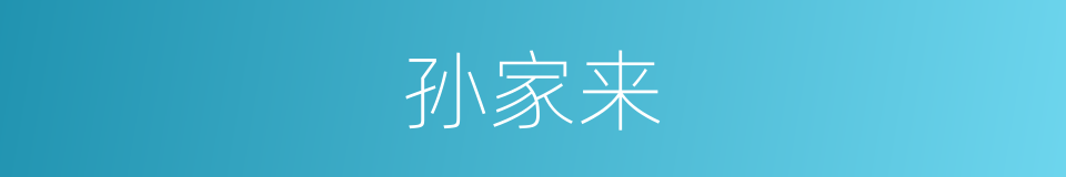 孙家来的同义词