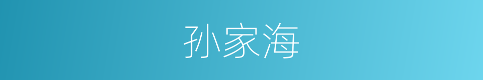 孙家海的同义词