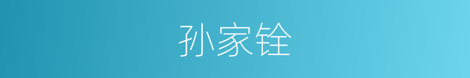 孙家铨的同义词