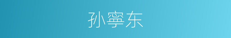 孙寧东的同義詞