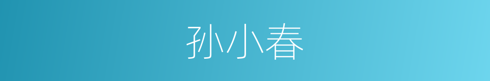 孙小春的同义词