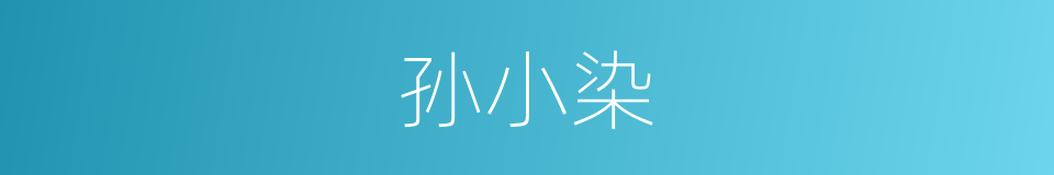 孙小染的同义词