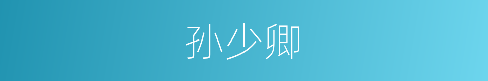 孙少卿的同义词