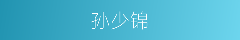 孙少锦的同义词