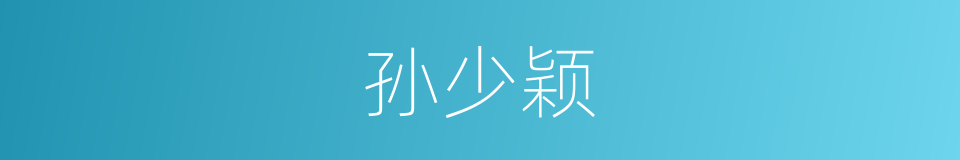 孙少颖的同义词