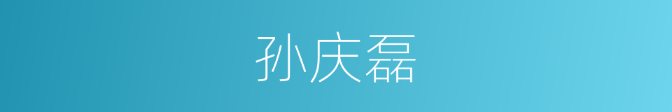 孙庆磊的同义词