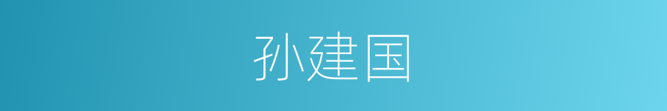 孙建国的同义词