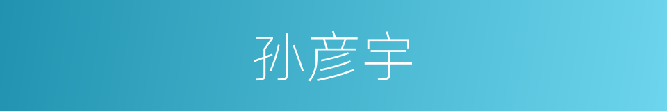 孙彦宇的同义词