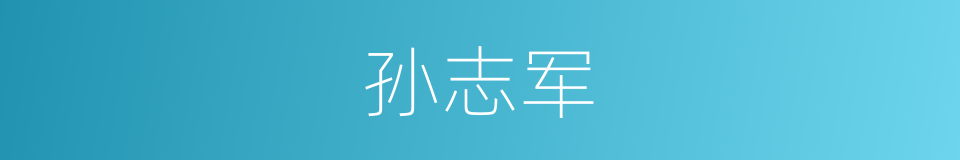 孙志军的同义词