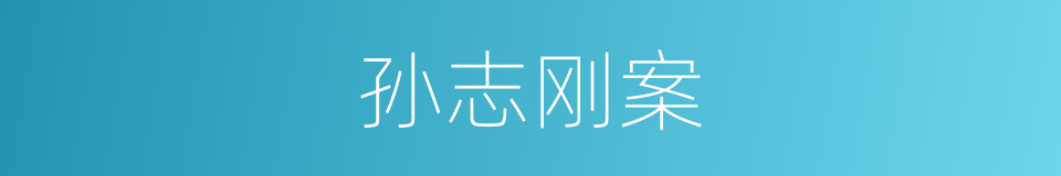 孙志刚案的同义词