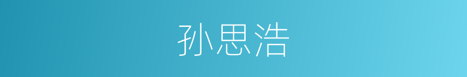 孙思浩的同义词